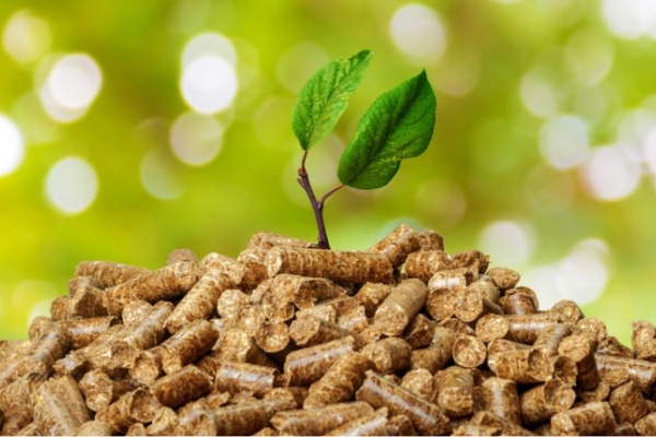 Making Biomass Fuel